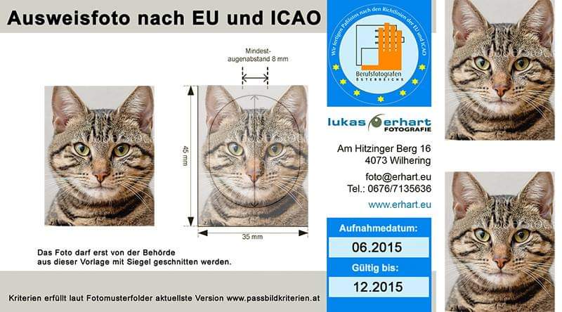 EU-Passbilder Biometrisch