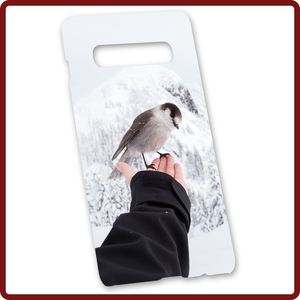 Handycover Samsung S10